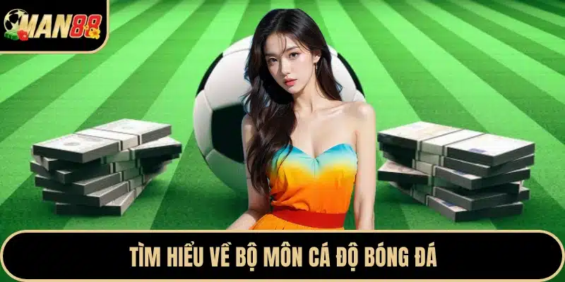 Tìm hiểu về bộ môn cá độ bóng đá